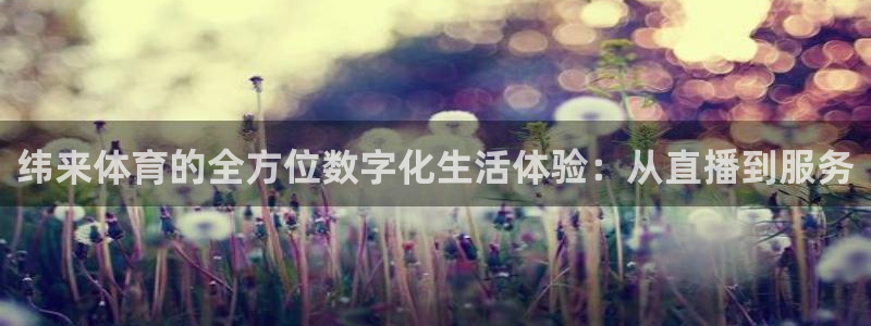 河豚体育直播免费下载：纬来体育的全方位数字化生活体验：从直播到服务