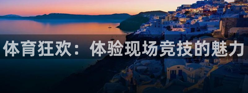 河豚看球：体育狂欢：体验现场竞技的魅力