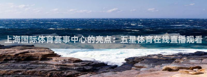 nba河豚体育直播：上海国际体育赛事中心的亮点：五星体育在线直播观看
