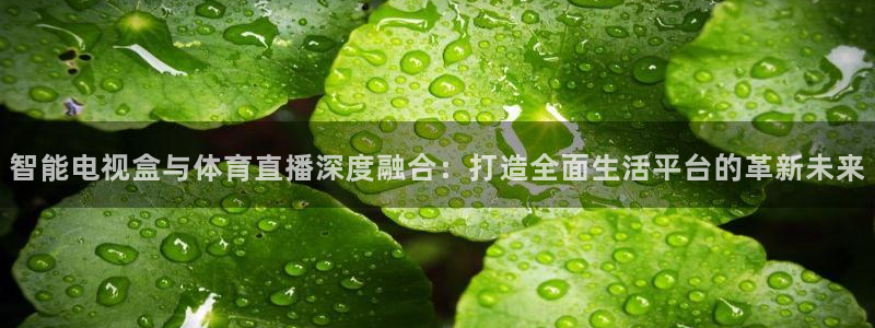 河豚篮球直播：智能电视盒与体育直播深度融合：打造全面生活平台的革新未来