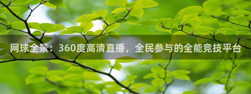 河豚足球体育直播：网球全景：360度高清直播，全民参与的全能竞技平台