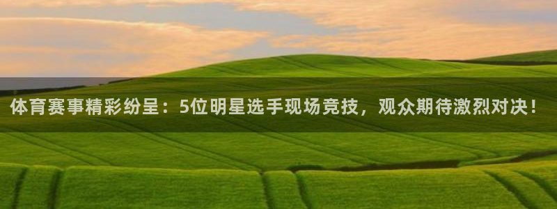河豚体育app下载：体育赛事精彩纷呈：5位明星选手现场竞技，观众期待激烈对决！