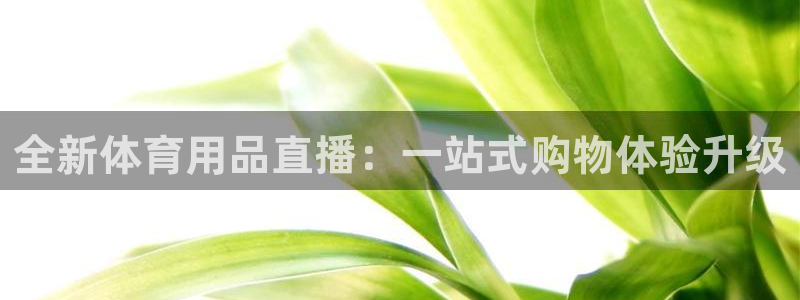 河豚体育直播nba：全新体育用品直播：一站式购物体验升级