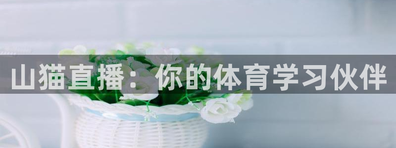 河豚tv直播：山猫直播：你的体育学习伙伴