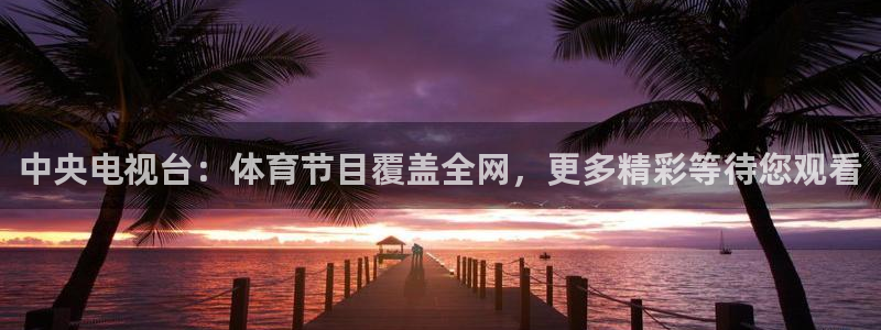 nba河豚体育直播：中央电视台：体育节目覆盖全网，更多精彩等待您观看