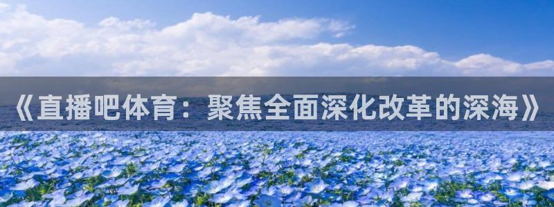 nba直播河豚：《直播吧体育：聚焦全面深化改革的深海》