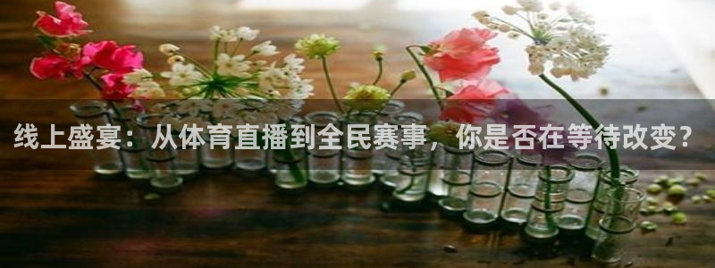 河豚体育直播免费观看：线上盛宴：从体育直播到全民赛事，你是否在等待改变？