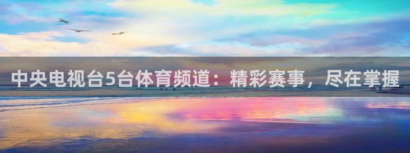 河豚体育直播免费：中央电视台5台体育频道：精彩赛事，尽在掌握