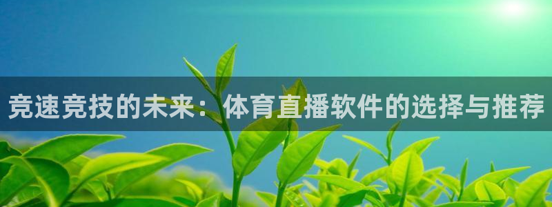 河豚直播nba：竞速竞技的未来：体育直播软件的选择与推荐
