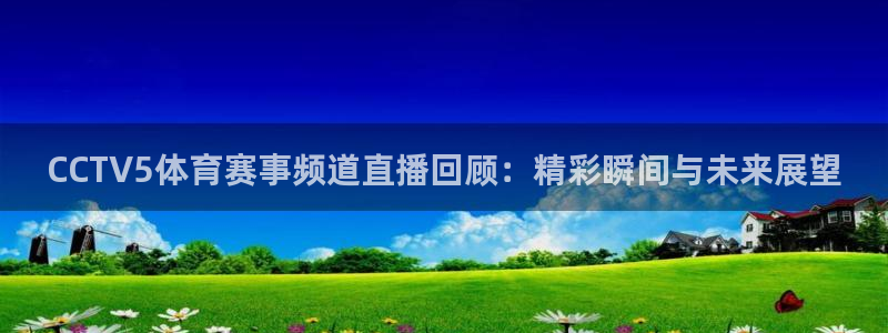 河豚体育：CCTV5体育赛事频道直播回顾：精彩瞬间与未来展望