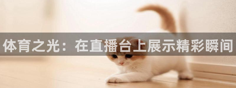 河豚直播体育直播：体育之光：在直播台上展示精彩瞬间